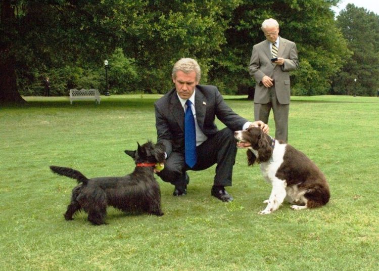 فیلم سینمایی «دبلیو» از شبکه ۱ سیما روی آنتن می‌رود