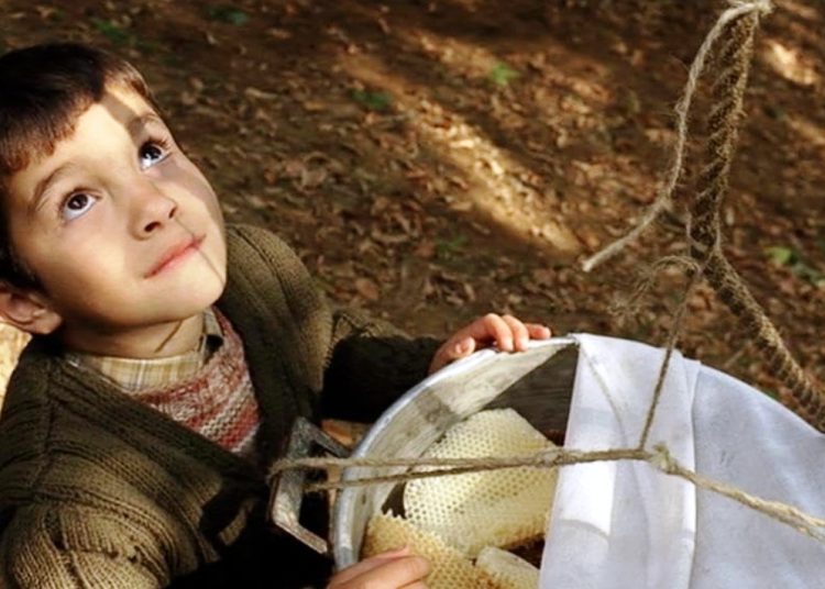 فیلم سینمایی «عسل» از شبکه نمایش روی آنتن می‌رود