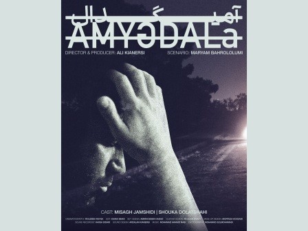 فیلم کوتاه «آمیگدال» آماده نمایش شد