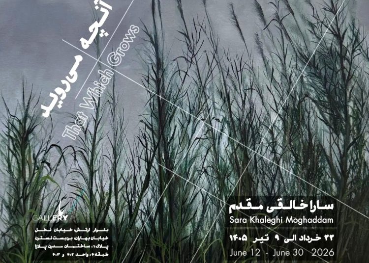 نمایشگاه «آنچه روییدنی است» برپا میشود