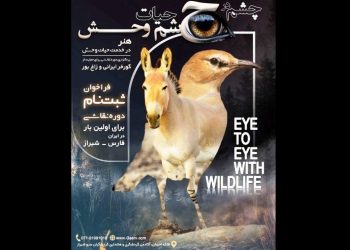 رویداد «چشم در چشم حیات‌وحش» برگزار می‌شود