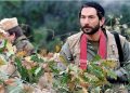 شبکه نمایش «خاکستر سبز» می دهد