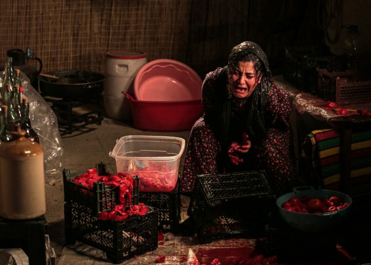 بهار قاسمی با «دُخشید» ۲ جایزه جهانی گرفت