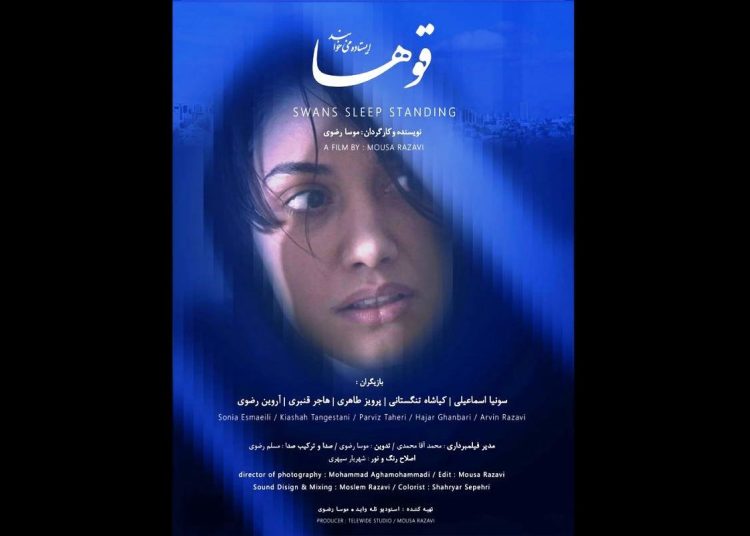 «قوها ایستاده می‌خوابند» در جشنواره فیلم کوتاه